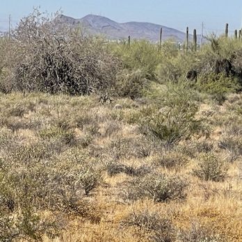 MacDonald's Ranch - Horseback Riding Near Me - Scottsdale, Arizona
