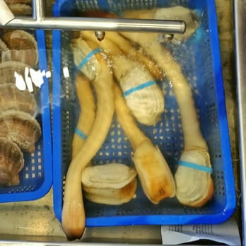 Taylor Shellfish Farms - Geoduck - Seafood Near Me - Seattle, Washington Taylor Shellfish Farms - Geoduck - Seafood Near Me - Seattle, Washington