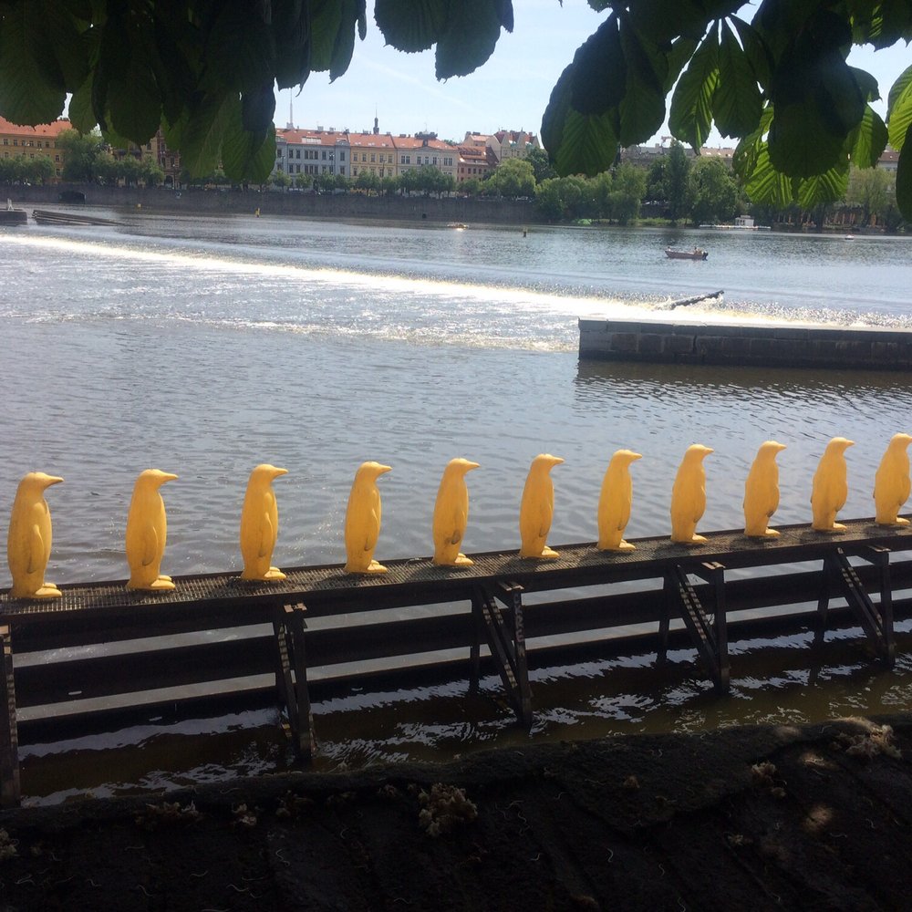 Kampa - Penguin sculpture - Parks Near Me - Prague, Puerto Rico
