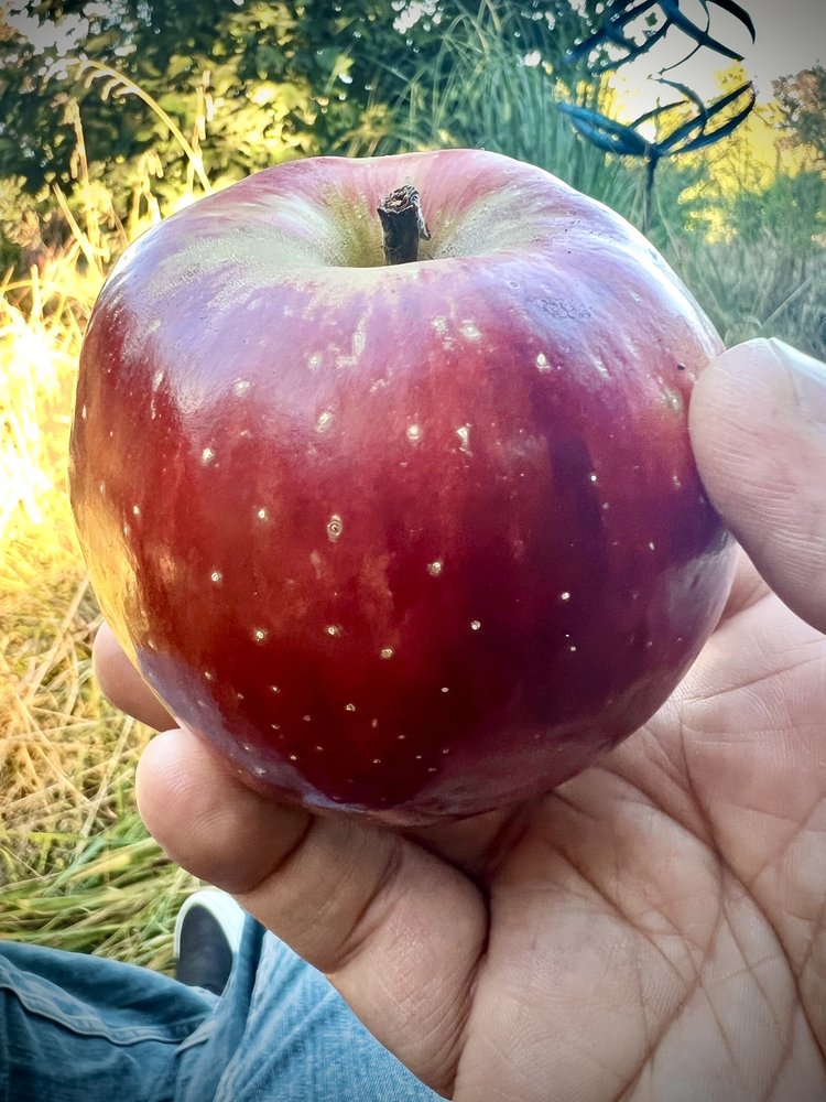 Kartini Clinic - patient advocate in Portland, OR