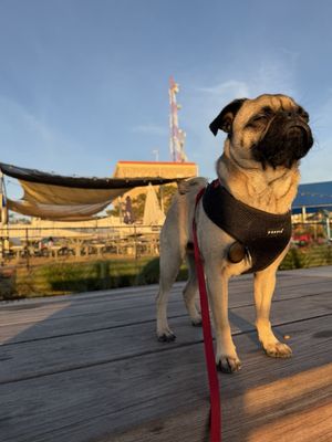 San Pedro Fish Market and Restaurant by null