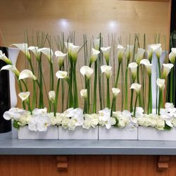 Owsviur Flowers