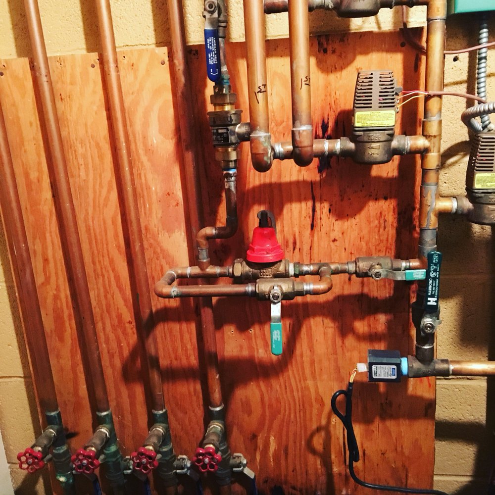 Slide of David R White