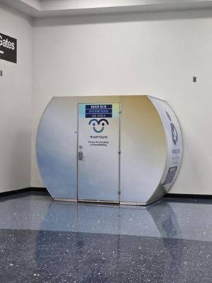 Harry Reid International Airport by null
