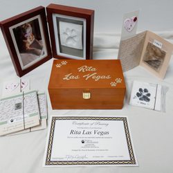 Paws & Remember
