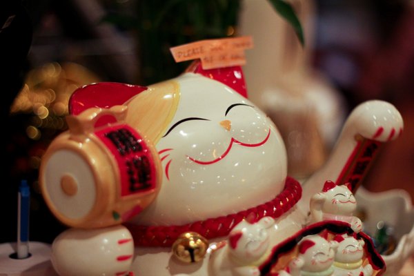 Moon Palace Express by null Moon Palace Express by null