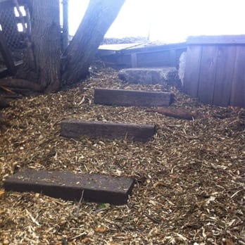 Fetch & Play - Pet Boarding Near Me - Chicago, Illinois Fetch & Play - Pet Boarding Near Me - Chicago, Illinois