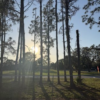 Wall Springs Park - Back for my weekly visit!! - Parks Near Me - Palm Harbor, Florida Wall Springs Park - Back for my weekly visit!! - Parks Near Me - Palm Harbor, Florida