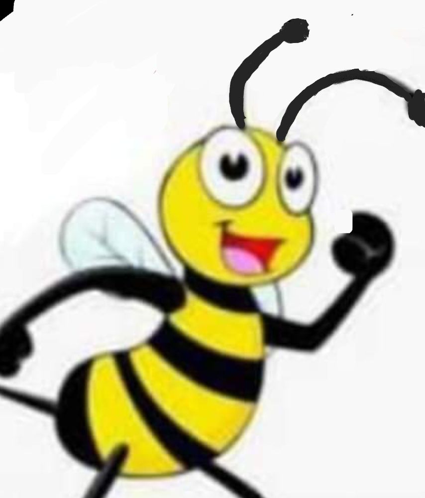 Slide of Busybee construction & outdoor Aesthetics