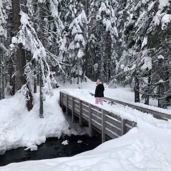 Mirror Lake Trail - Enjoying the trail in December! - Parks Near Me - Zigzag, Oregon
