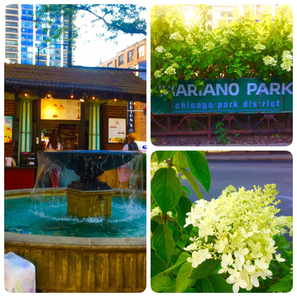Mariano Park - People enjoying The Fountain and Whispers Cafe offering Artisan Coffee, Artisan Gelato, Fresh Fruit Smoothies, etc. 2019 - Parks Near Me - Chicago, Illinois Mariano Park - People enjoying The Fountain and Whispers Cafe offering Artisan Coffee, Artisan Gelato, Fresh Fruit Smoothies, etc. 2019 - Parks Near Me - Chicago, Illinois