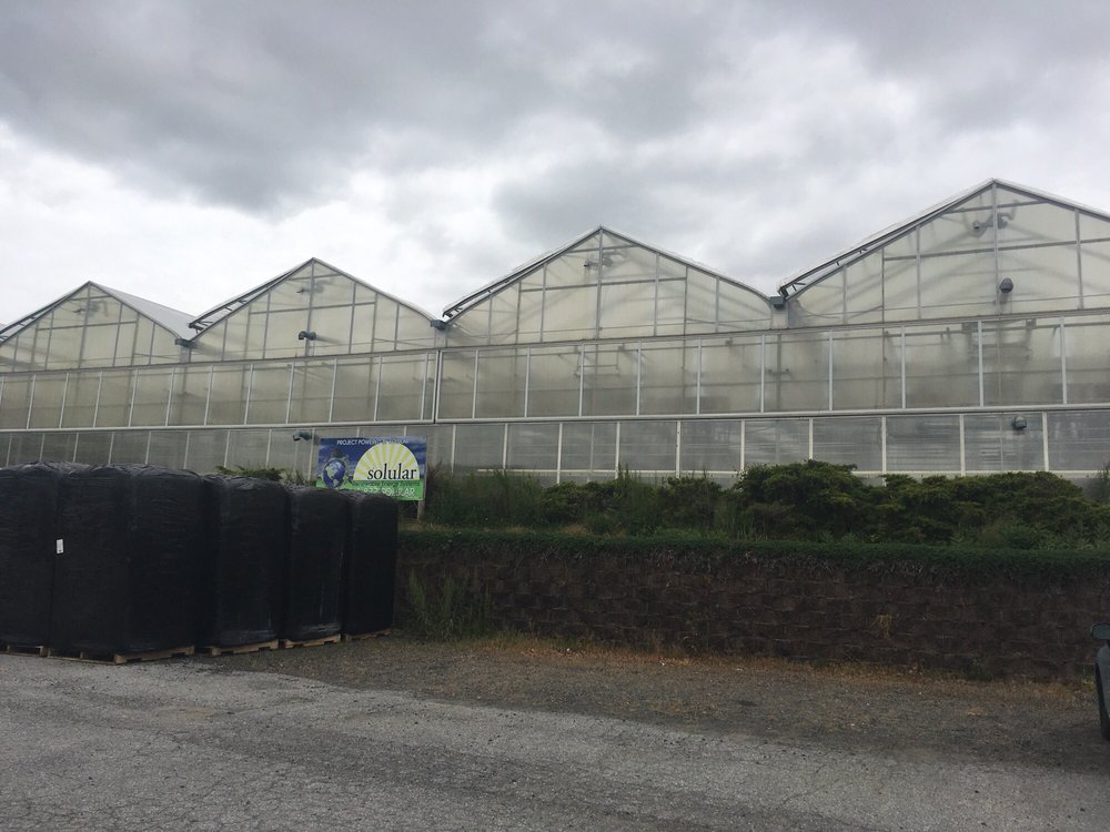 LAROSA GREENHOUSES Updated August 2024 12 Photos 910 Kings Hwy