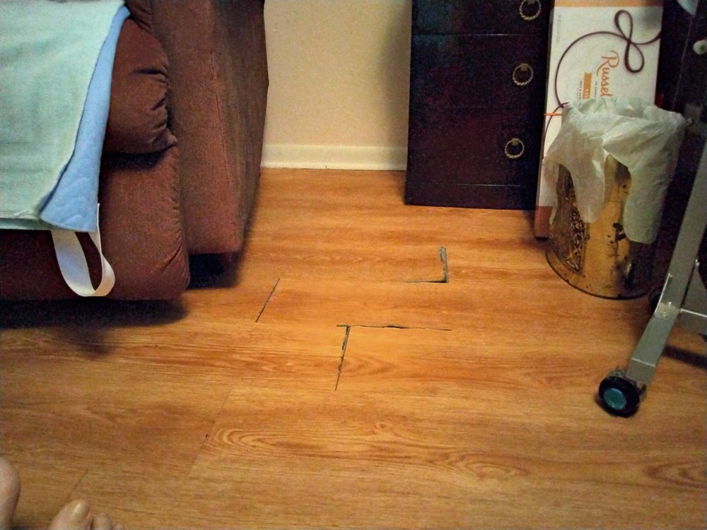 CARPET DEPOT Updated August 2024 14 Reviews 3292 Sunrise Hwy