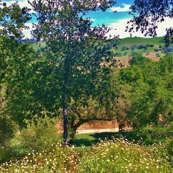 Firestone Vineyard - View - Wine Tasting Room Near Me - Los Olivos, California Firestone Vineyard - View - Wine Tasting Room Near Me - Los Olivos, California