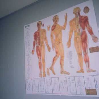 Elite Care Rehab - Acupuncture Chart - Physical Therapy Near Me - New York, New York Elite Care Rehab - Acupuncture Chart - Physical Therapy Near Me - New York, New York