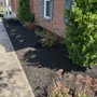 Photo of Ariana's Cleaning And Landscaping