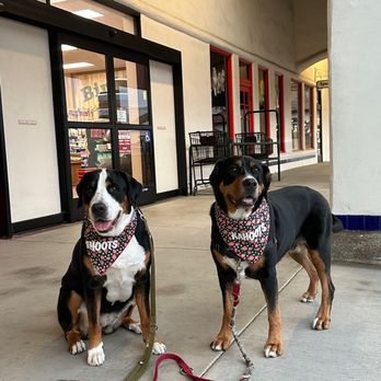 Kahoots Pet Store - Pet Stores Near Me - San Diego, California