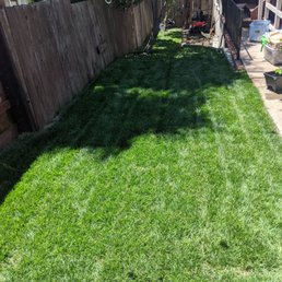 Few weeks after installation! Few weeks after installation!