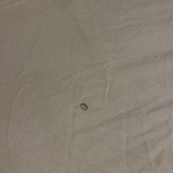 Nevada City Inn - Cigarette burn in fitted sheet - Hotels Near Me - Nevada City, California