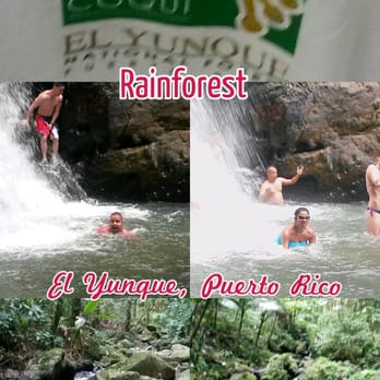 El Yunque Rainforest - Blast! Renting car saved us tour $ expense.Trail is VERY easy&waterfall Mina Falls were great to swim. Luquillo Beach was good! - Hiking Near Me - Luquillo, Puerto Rico El Yunque Rainforest - Blast! Renting car saved us tour $ expense.Trail is VERY easy&waterfall Mina Falls were great to swim. Luquillo Beach was good! - Hiking Near Me - Luquillo, Puerto Rico
