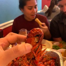 Crawfish Crawfish