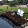 Terra Nova Lawn Care