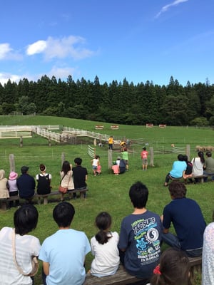 Koiwai Farm by null