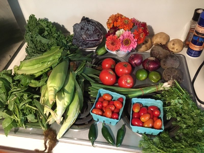 PETERS’ FARM 13 Photos & 20 Reviews 1 Cross St, Salem, New