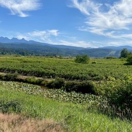 Beautiful views Beautiful views