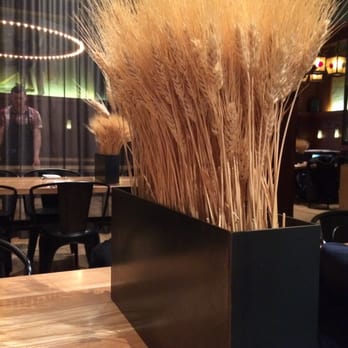 Schroeder's - Amber waves of grain. - Pubs Near Me - San Francisco, California Schroeder's - Amber waves of grain. - Pubs Near Me - San Francisco, California