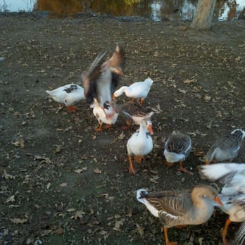 Campus Park South - Parks Near Me - Bakersfield, California