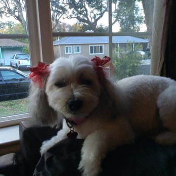 Perfect Pet Salon - Pet Groomers Near Me - Concord, California Perfect Pet Salon - Pet Groomers Near Me - Concord, California