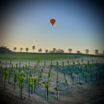 Julie's Dream Winery - Beautiful Sunrises and Balloon flyovers at Julie's Dream Vineyards. #juliesdreamwinery - Wine Tasting Room Near Me - Temecula, California