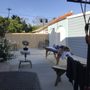 Photo of Hollywood Hills Healing