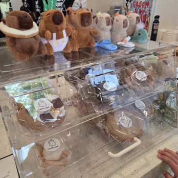 Capy Cafe - Cookies - Coffee & Tea Near Me - Folsom, California Capy Cafe - Cookies - Coffee & Tea Near Me - Folsom, California