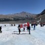 Photo of Athabasca Glacier Icewalks