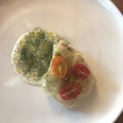 Whitebait - Red snapper