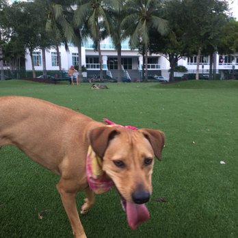 Margaret Pace Dog Park - Dog Parks Near Me - Miami, Florida