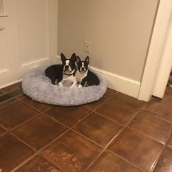 Talegre - Parker and Penny