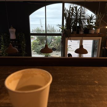 Kraken Coffee - Coffee & Tea Near Me - Avila Beach, California