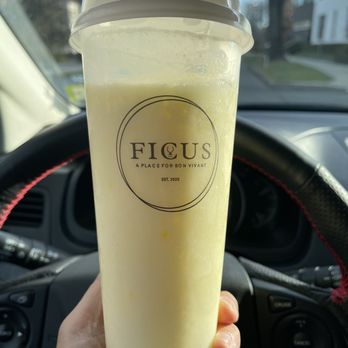 Ficus - Bubble Tea Near Me - Princeton, New Jersey