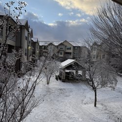 Commonwealth at 31 Apartments - Winter snowstorm, January 2026