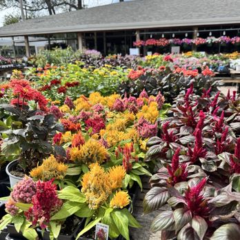 Cirian's Farmers Market - Nurseries & Gardening Near Me - Omaha, Nebraska