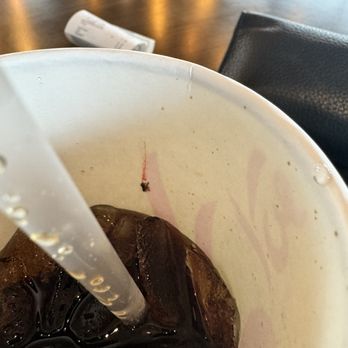 El Pollo Loco - Drowned fly on the side of the cup. Smh - Fast Food Near Me - Hurst, Texas El Pollo Loco - Drowned fly on the side of the cup. Smh - Fast Food Near Me - Hurst, Texas