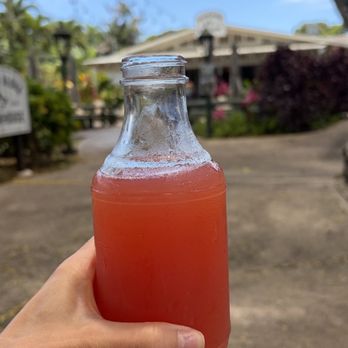Kauai Juice - Blood orange kombucha - Kombucha Near Me - Kilauea, Hawaii