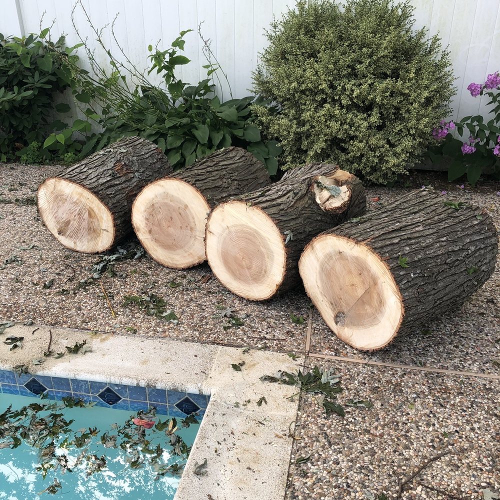 Patriot Tree Service - Firewood - Tree Services Near Me Patriot Tree Service - Firewood - Tree Services Near Me
