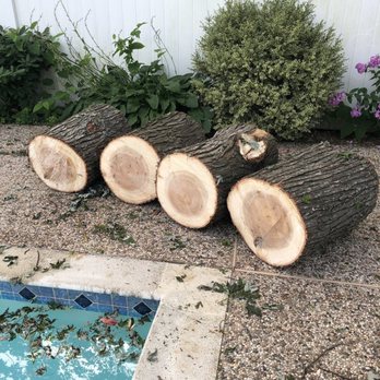 Patriot Tree Service - Firewood - Tree Services Near Me Patriot Tree Service - Firewood - Tree Services Near Me