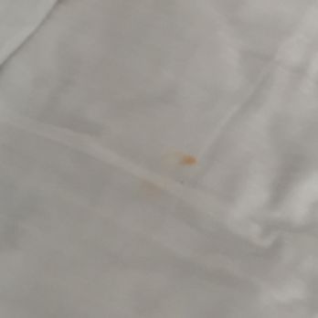 Harrison Hotel - Stains were all over the sheets - Hotels Near Me - Miami Beach, Florida Harrison Hotel - Stains were all over the sheets - Hotels Near Me - Miami Beach, Florida
