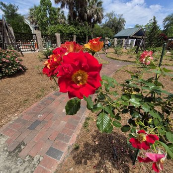 New Hanover County Arboretum - Botanical Gardens Near Me - Wilmington, North Carolina