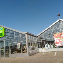 Blumen Risse - Blumen Risse in Mülheim Kärlich (18.02.2019) H.S